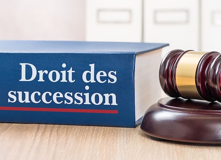 Droit de succession 5 Droit de la famille, avocat en droit des successions, problèmes d'héritages, Maître Francine Beaujour, Avocat, Le Gosier, Marie-Galante, Basse-Terre, Guadeloupe